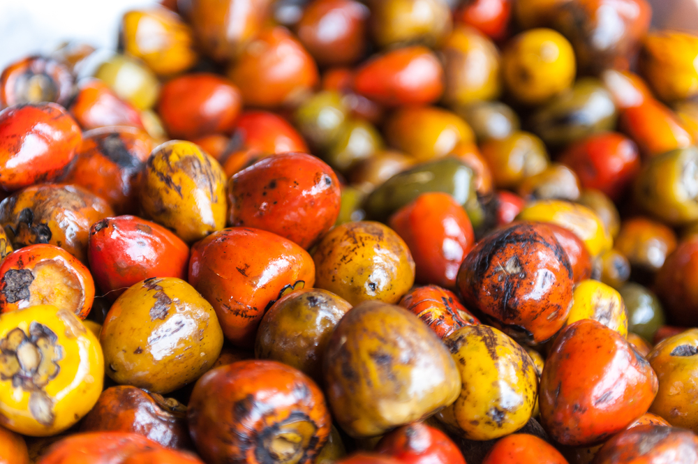 Gastronomía Caleña