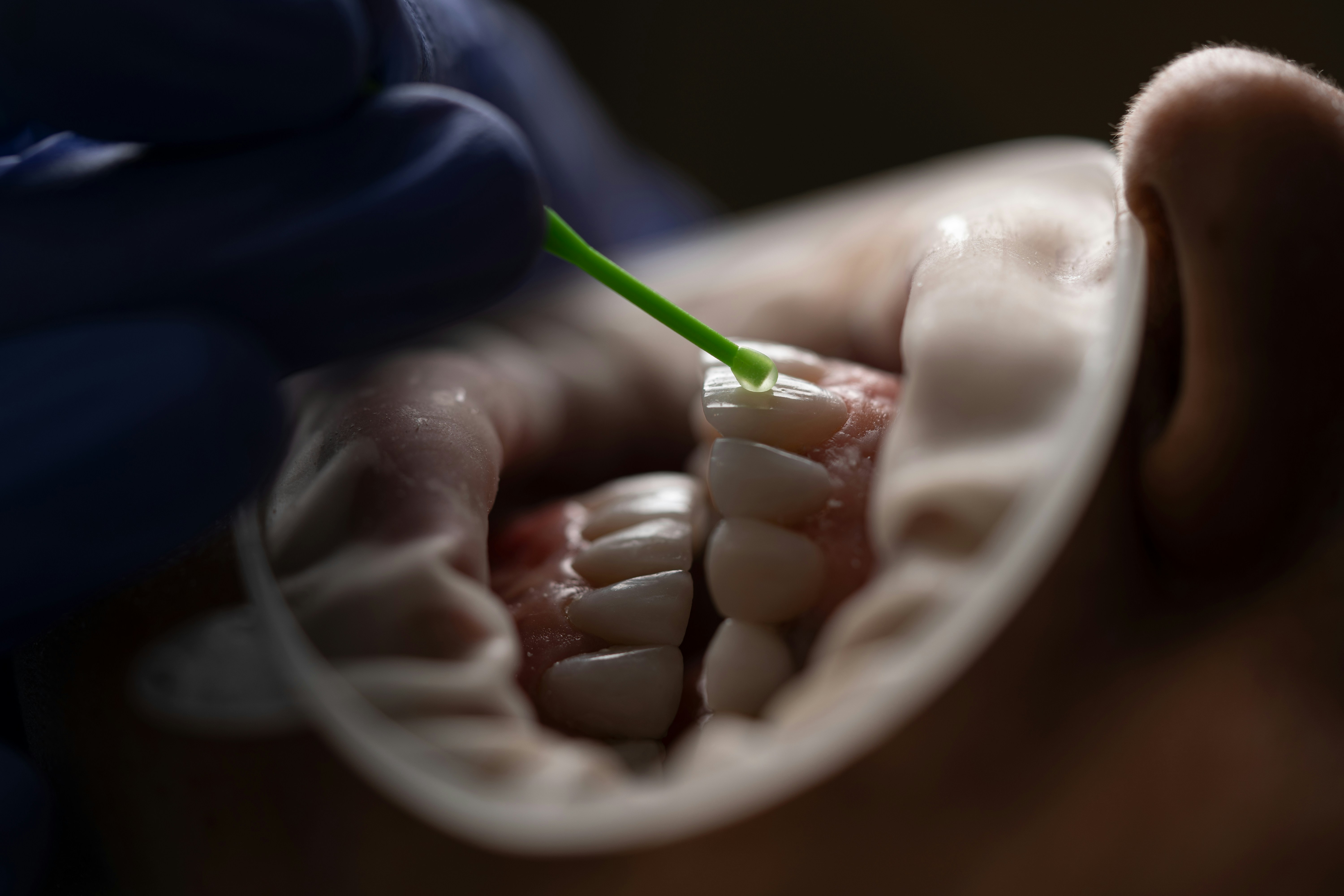 Dental Care Norte
